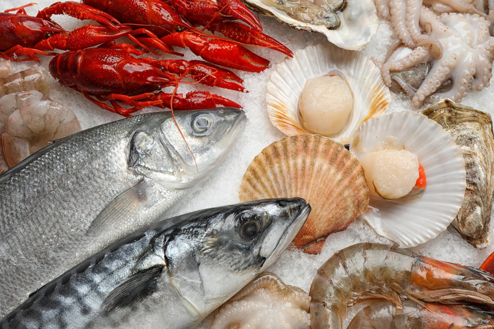 Хорошее дело — Оптовые поставки рыбы и&nbsp;морепродуктов по&nbsp;всей стране 